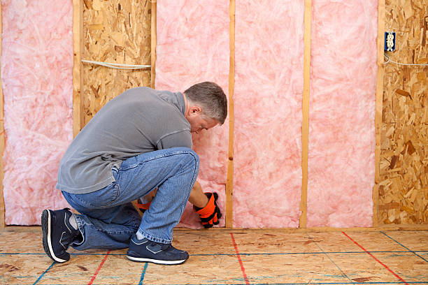 Best Blown-In Insulation  in Aptos Hills Larkin Valley, CA